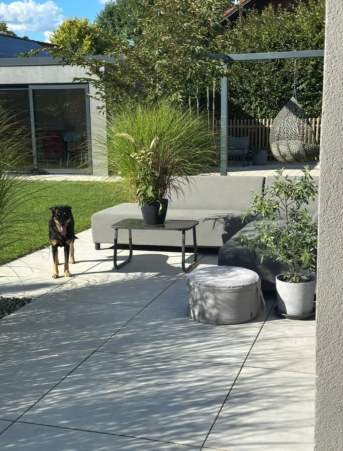 Modern gestaltete Terrasse mit Gräsern und Holzdeck